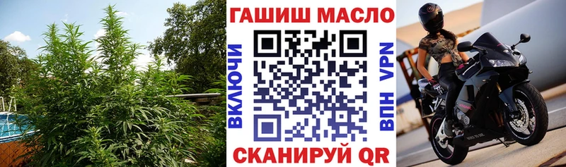 Дистиллят ТГК жижа  Купить где  Аша 